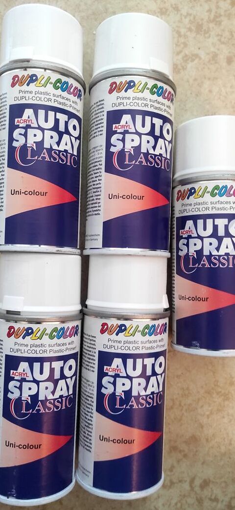 10 Bombes de peinture blanches Dupli Color
0 Massy (91)