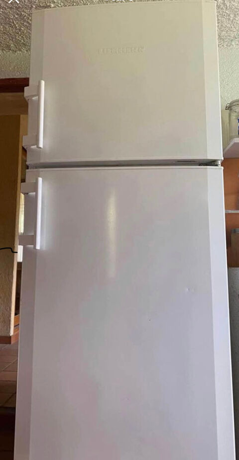 Grand frigo (220 l) / cong�lateur (56 l)
LIEBHERR, 220 Contes (06)