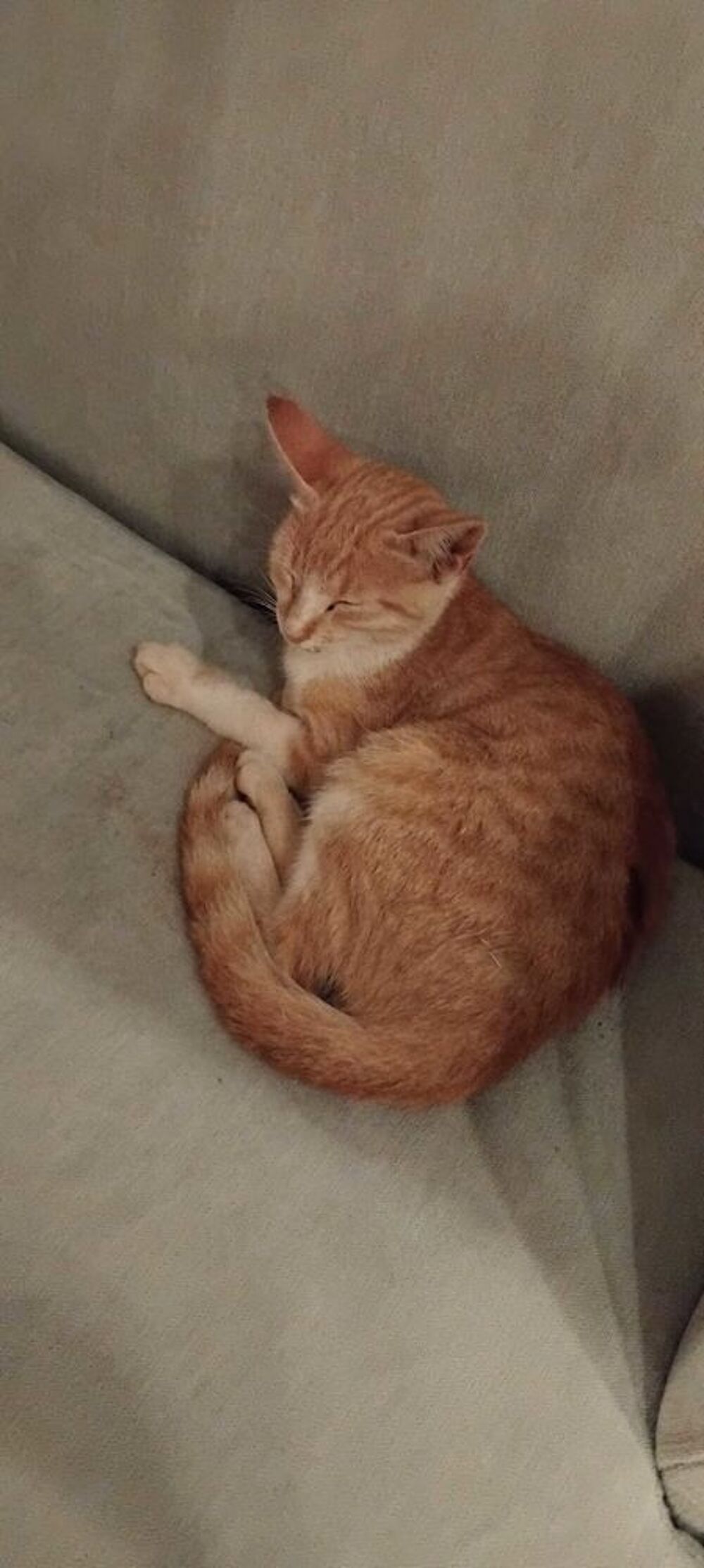   petite plomberie 