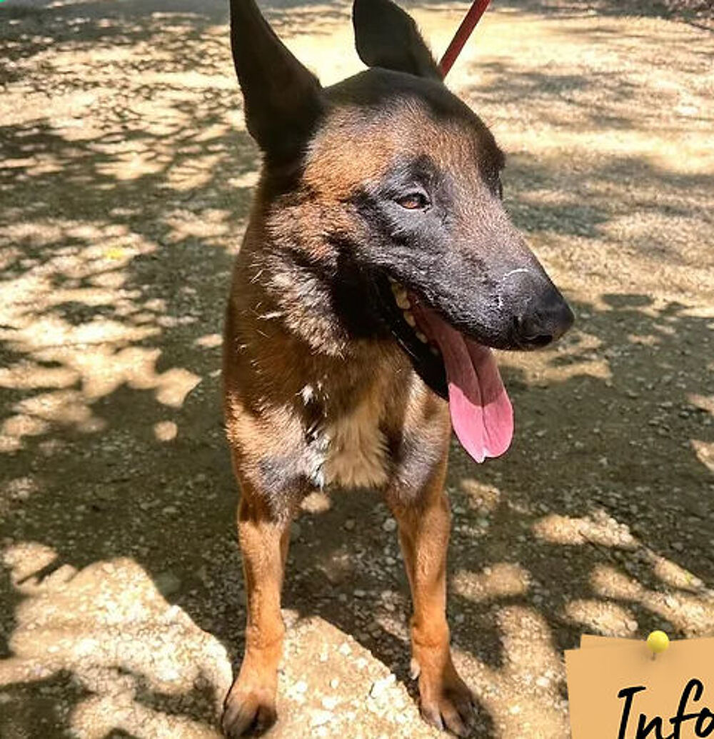   Timo  