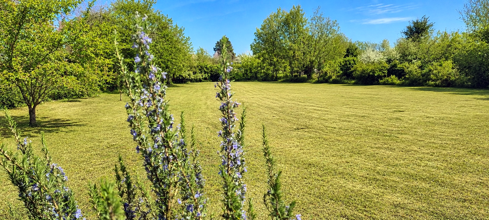 Vente Terrain Grands terrains nature hors lotissement proximité Nior Fors
