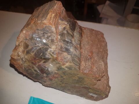 Bois de l'Arizona 150 Frjus (83)