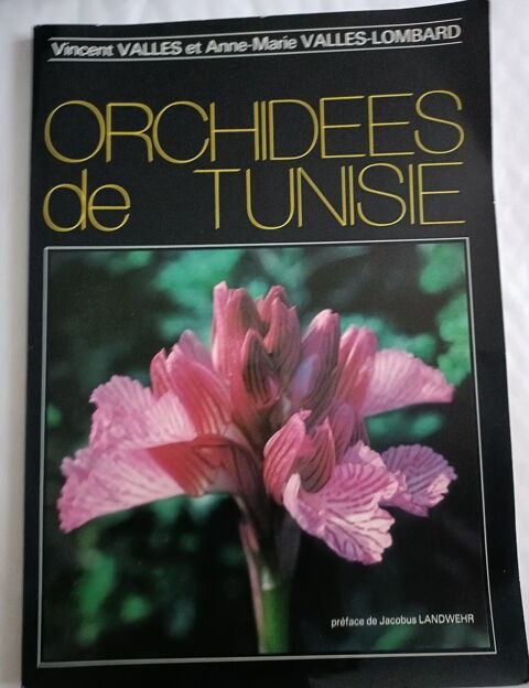 Vincent VALLES et Anne Marie VALLES-LOMBARD : orchides de  25 Montauban (82)