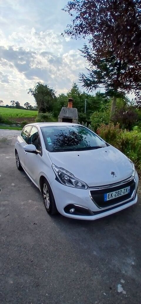 Peugeot 208 1.6 BlueHDi 100ch S&S BVM5 Active Business 2017 occasion Alexain 53240