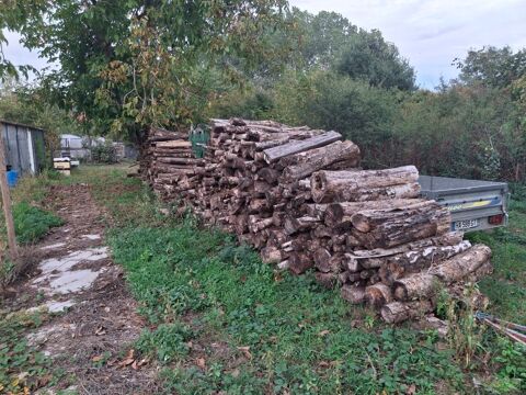 Bois 400 Heuilley-sur-Saône (21)