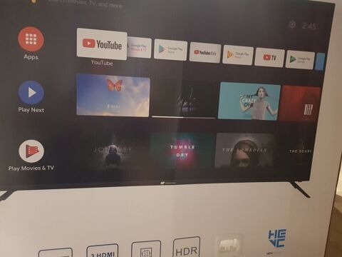 Televiseur 300 Cosges (39)