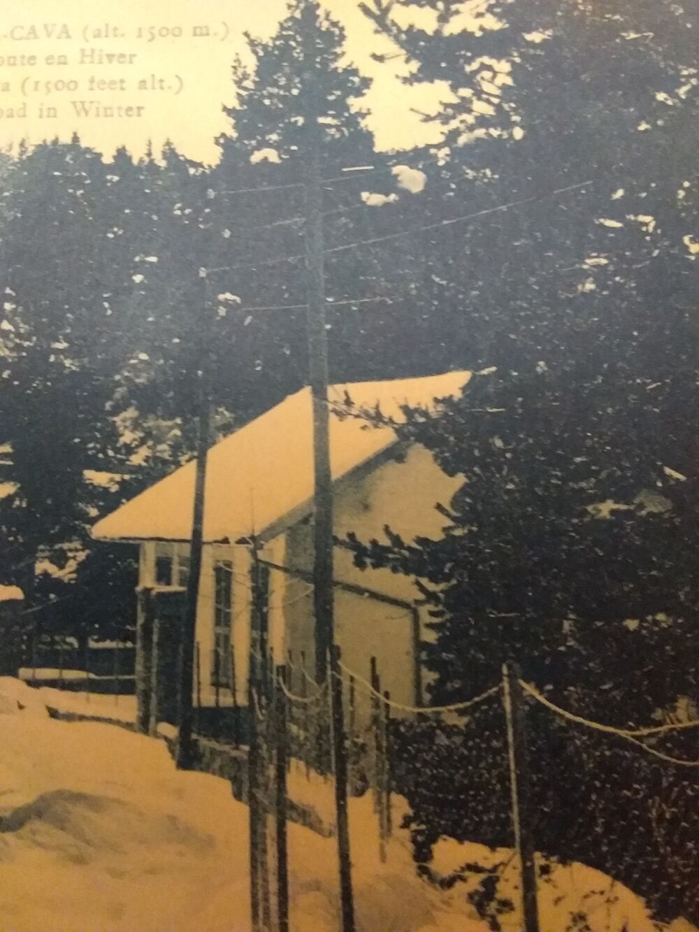 Carte postale ancienne D&eacute;partement 06 