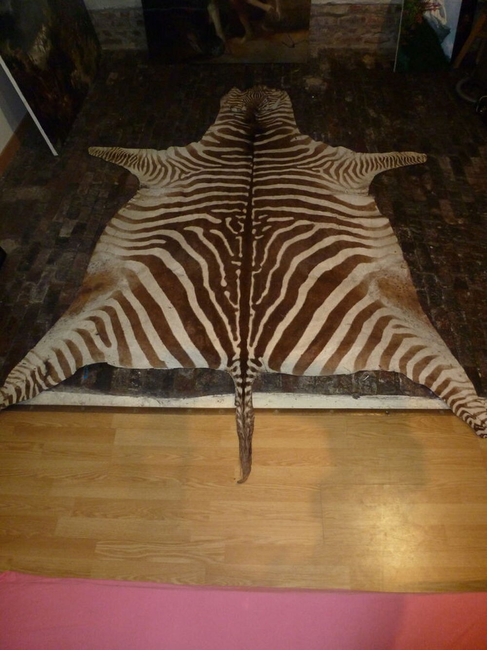 Tapis peau de z&egrave;bre (V&eacute;ritable) 260 x 190 Décoration