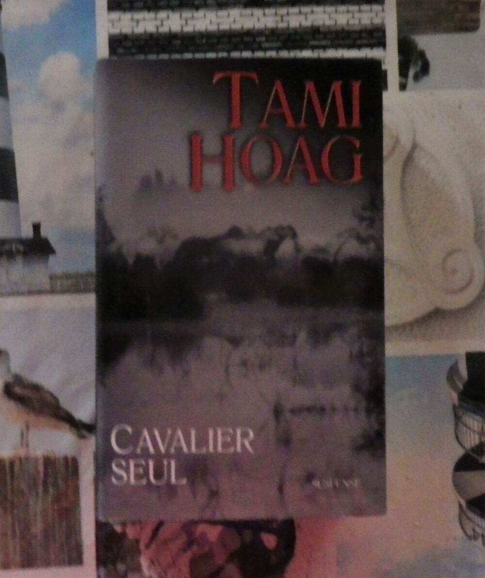 CAVALIER SEUL de Tami HOAG Ed. France Loisirs Livres et BD