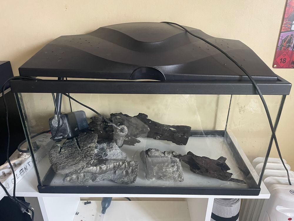aquarium et &eacute;quipements Décoration