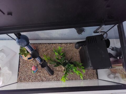 Aquarium 29 31100 Toulouse