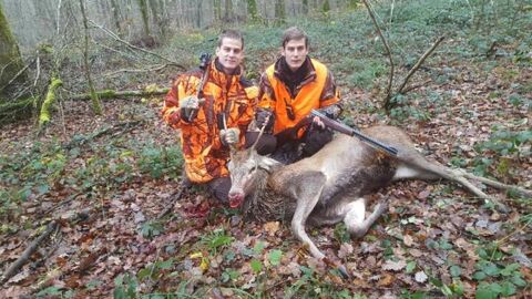 action chasse grand gibier Aube 850 Troyes (10)