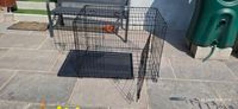   Cage pour chiots ou petits chiens 