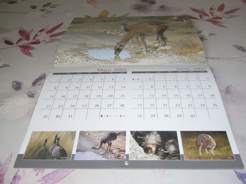 calendrier 2005 sur les animaux de patagonie 