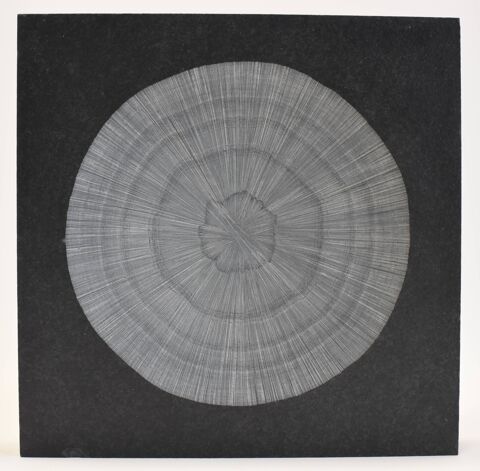 Ardoise en Bas Relief D�coration Maison
150 Dijon (21)