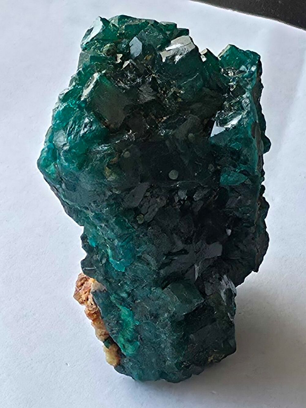 Min&eacute;ral d'exception : Dioptase brute sur sa roche matrice-RDC 