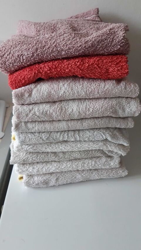 10 serviettes de toilettes 20 Brignais (69)