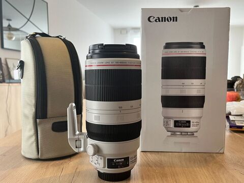 Objectif Canon EF 100/400 mm Tours (37)