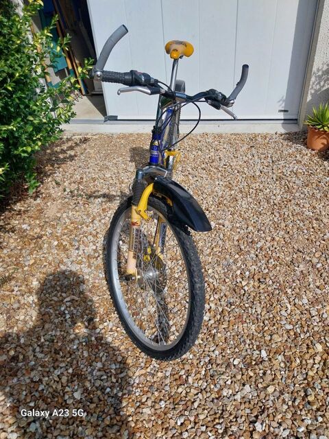 vélos à  vendre 150 Nonvilliers-Grandhoux (28)
