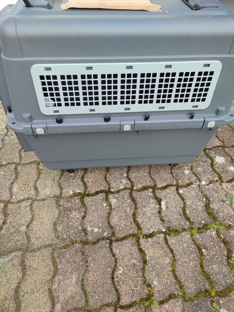 Cage 100 45140 Ormes