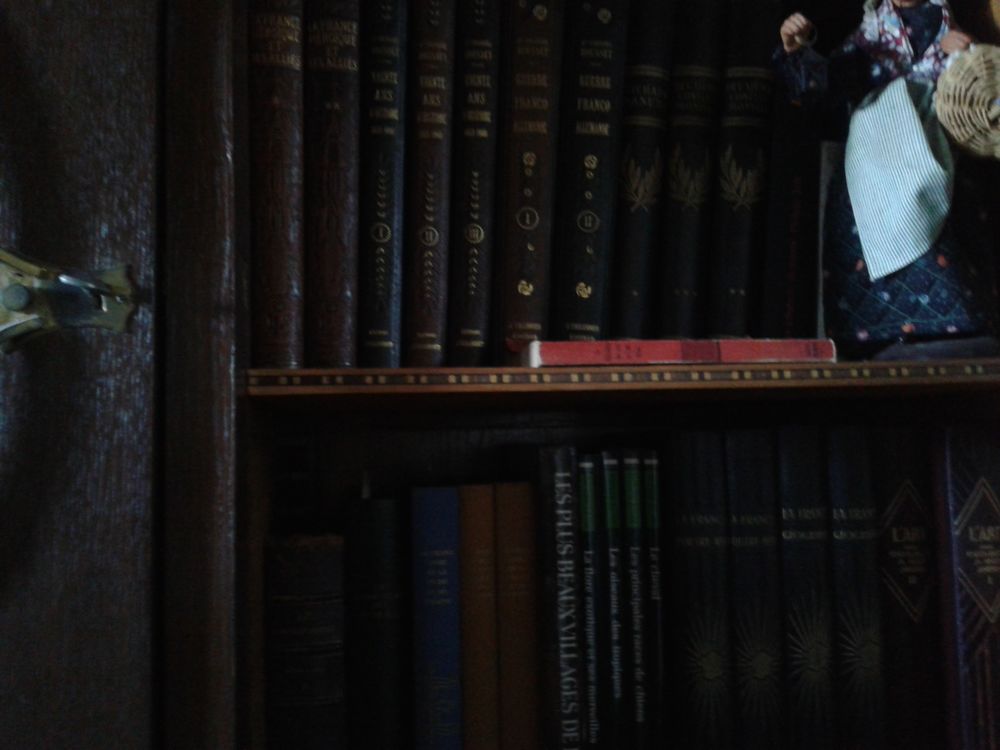 Bibliotheque annee 50 Meubles