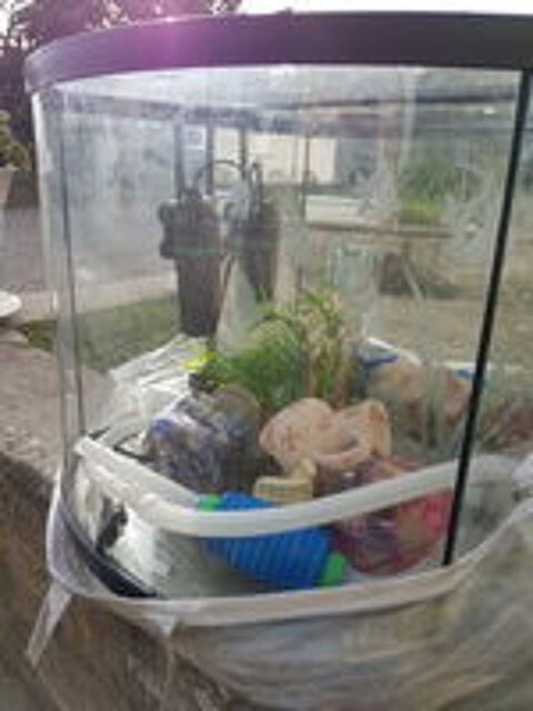   Aquarium équipé et accessoirisé 