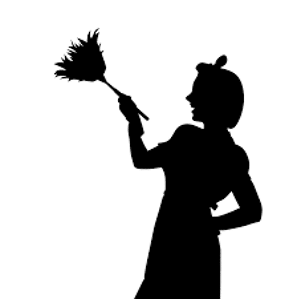   Catherine, femme de mnage exprimente 