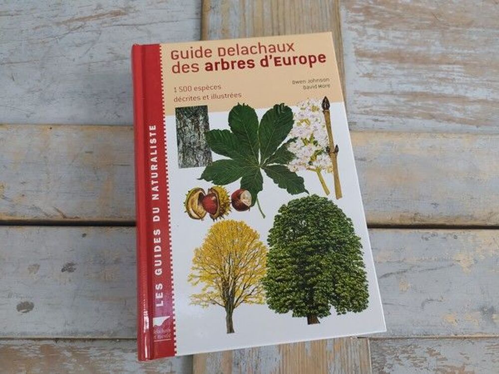 Livre Delachaux et Niestl&eacute; Guide des Arbres d'Europe Livres et BD