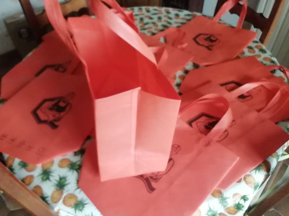 10 sacs neufs multifonctions Henri Boucher Bricolage