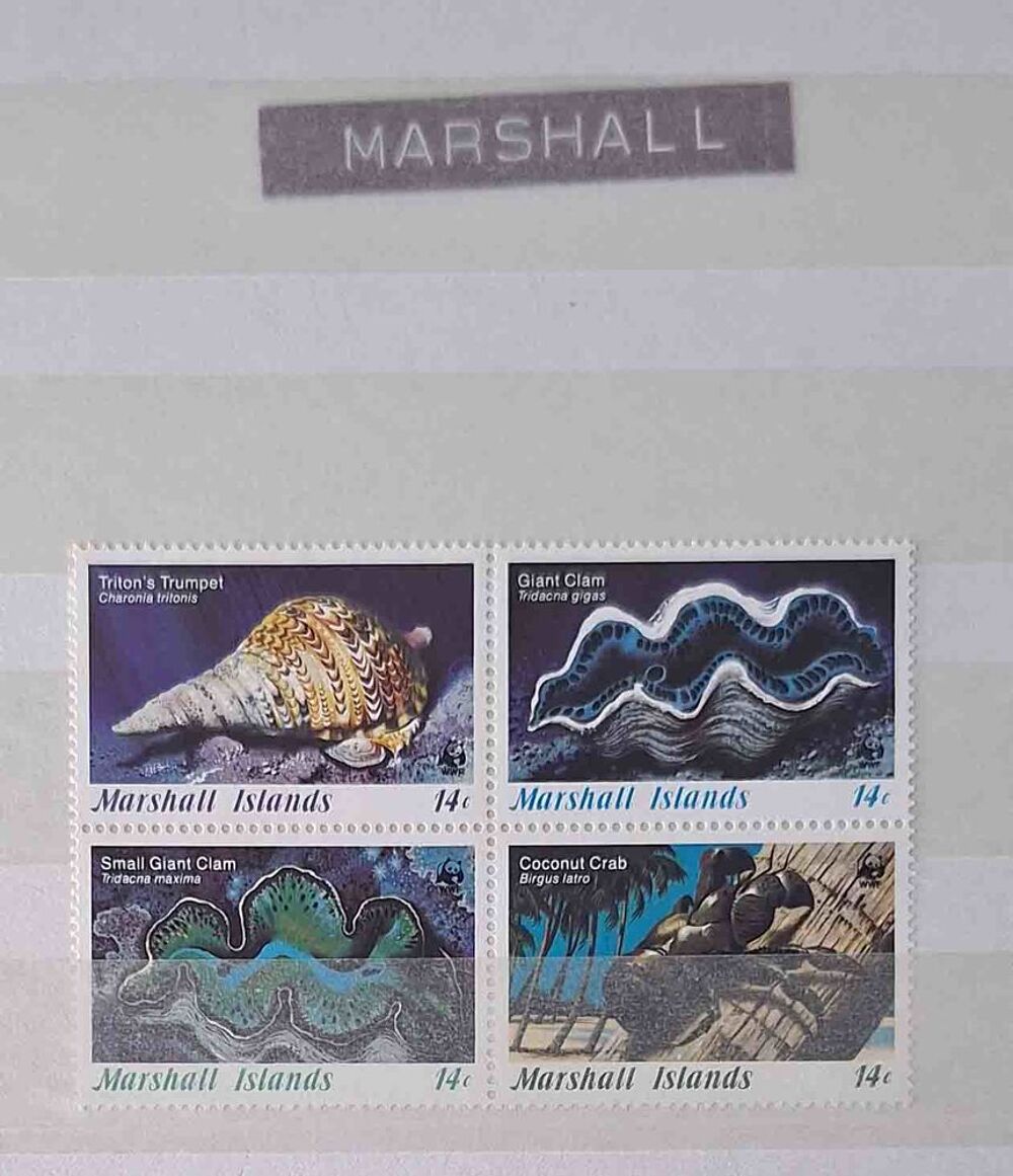 Lot de timbres du monde 