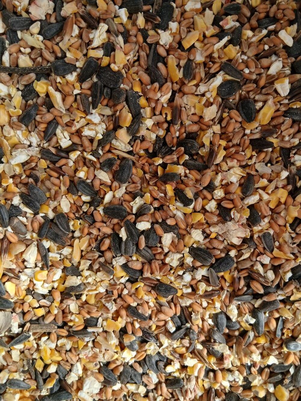   Céréales alimentation animal  