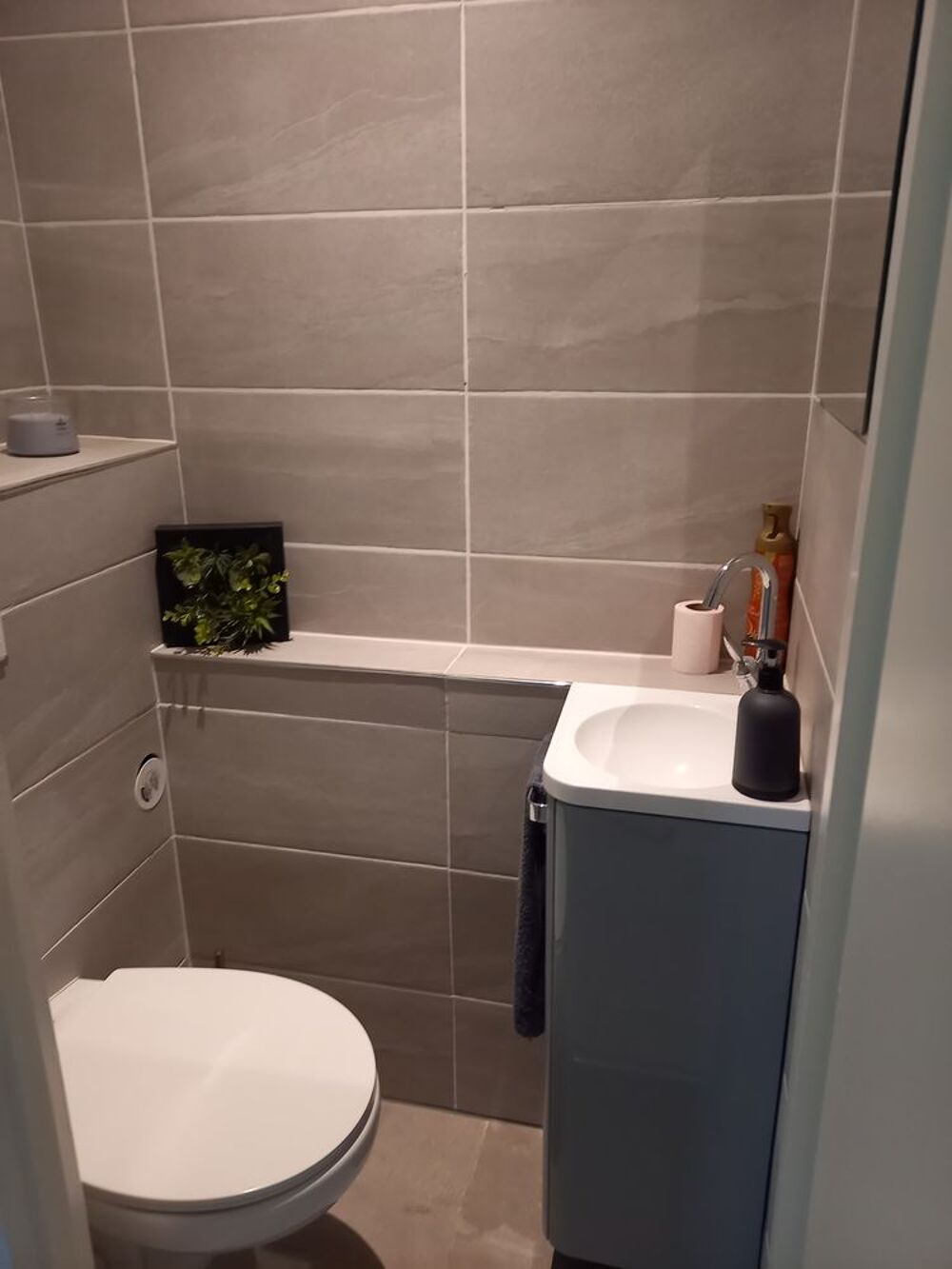 Location Appartement t2 au calme dans un cadre arboree au calme Publier