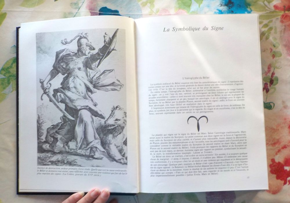 LE GRAND LIVRE DU BELIER par A. WALDSTEIN Ed. Tchou Livres et BD