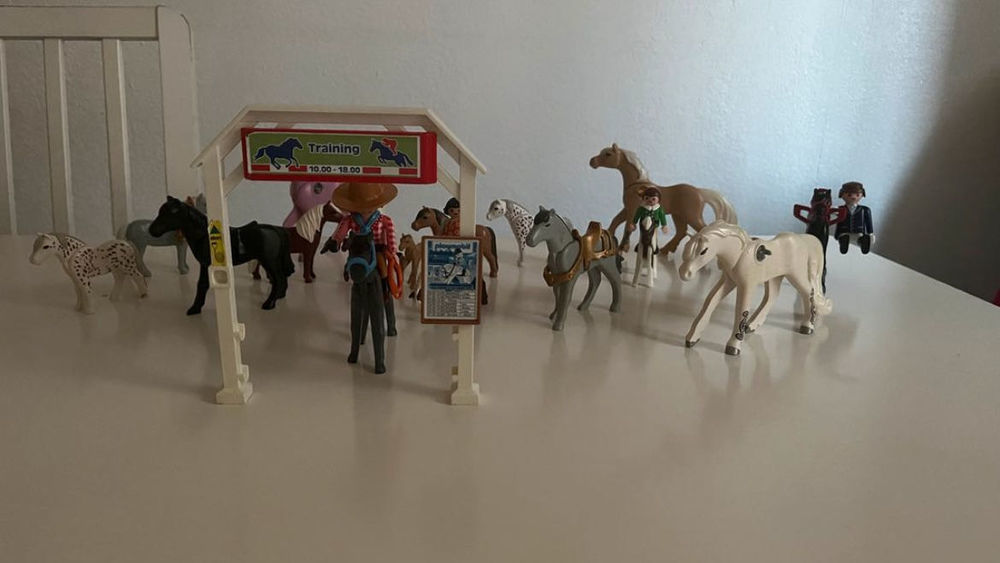 Playmobile Jeux / jouets