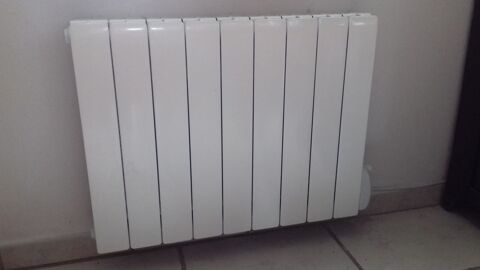 Radiateur corps aluminium  fluide caloporteur Ferolli 170 Saint-Germain-ls-Corbeil (91)