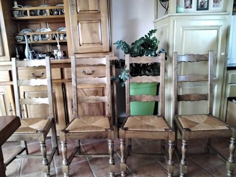 CHAISES HETRE PAILLAGE (6) 420 Canohs (66)