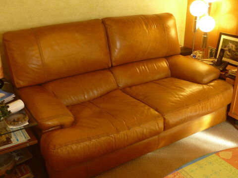 Canap en cuir 100 Paris 12 (75)