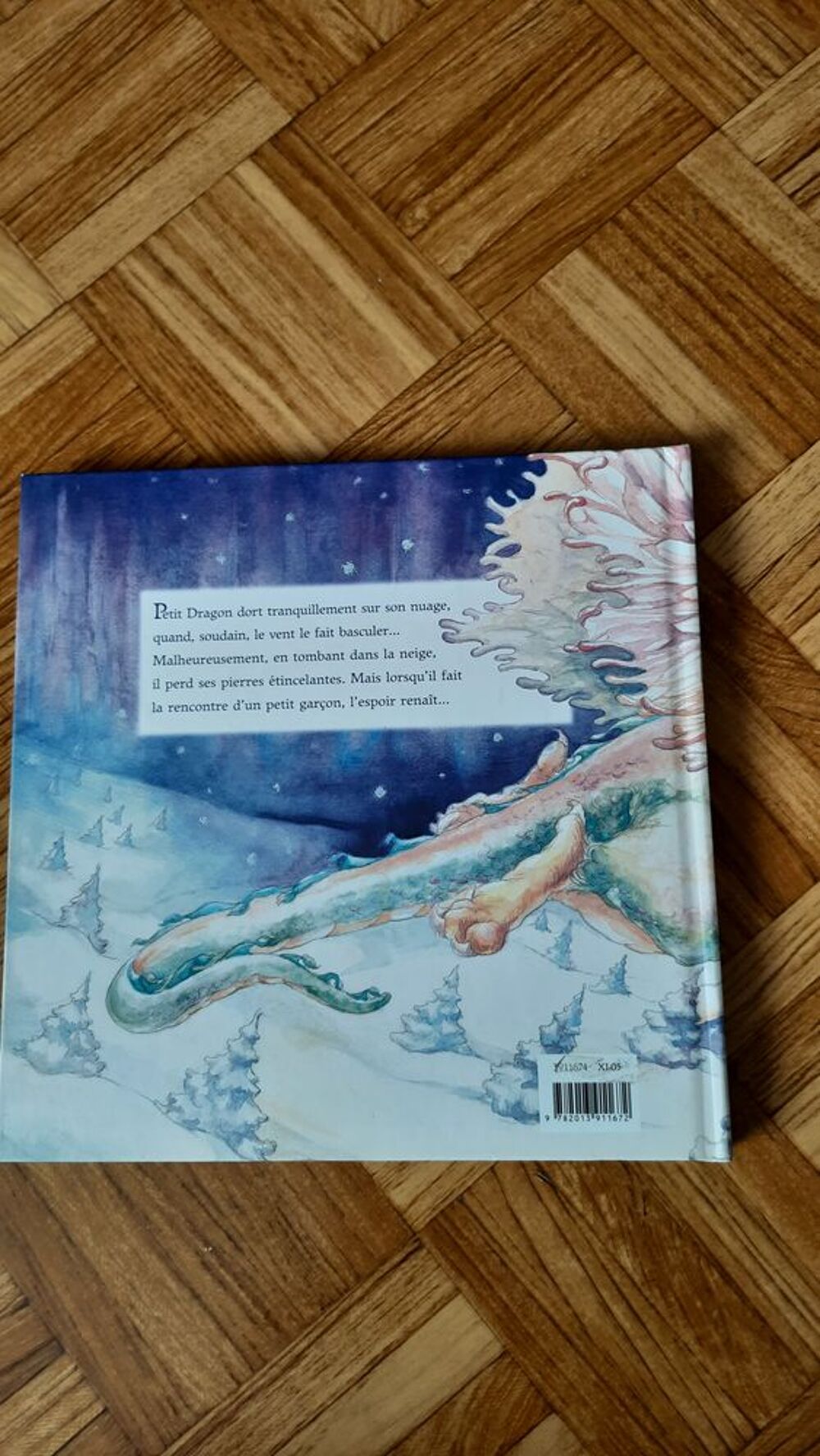 Livre Petit Dragon des Neiges - Album Livres et BD