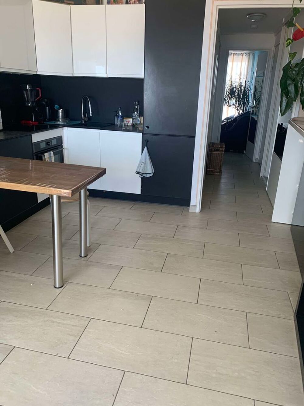   T2 front de mer avec terrasse Vue directe plage et mer Languedoc-Roussillon, La Grande-Motte (34280)