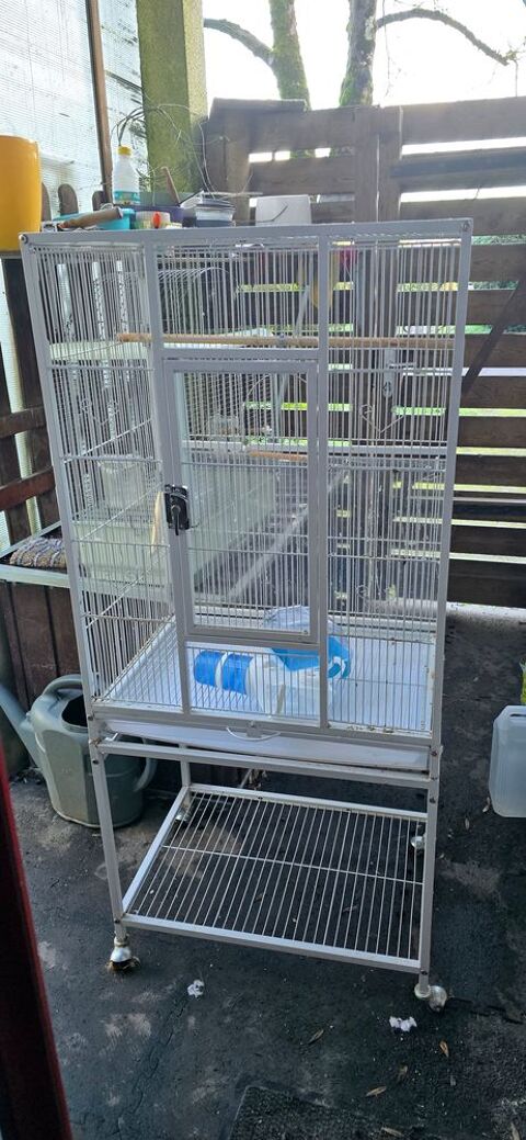 Voli&egrave;re 60 44400 Rez�