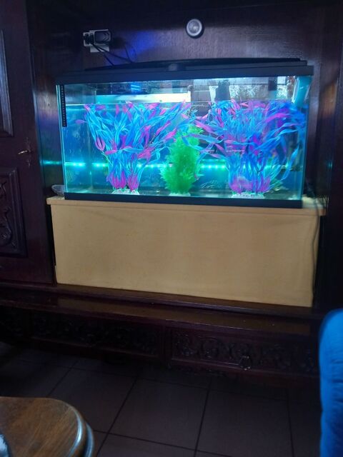 A saisir aquarium super family 120 litres complet Nomain (59)