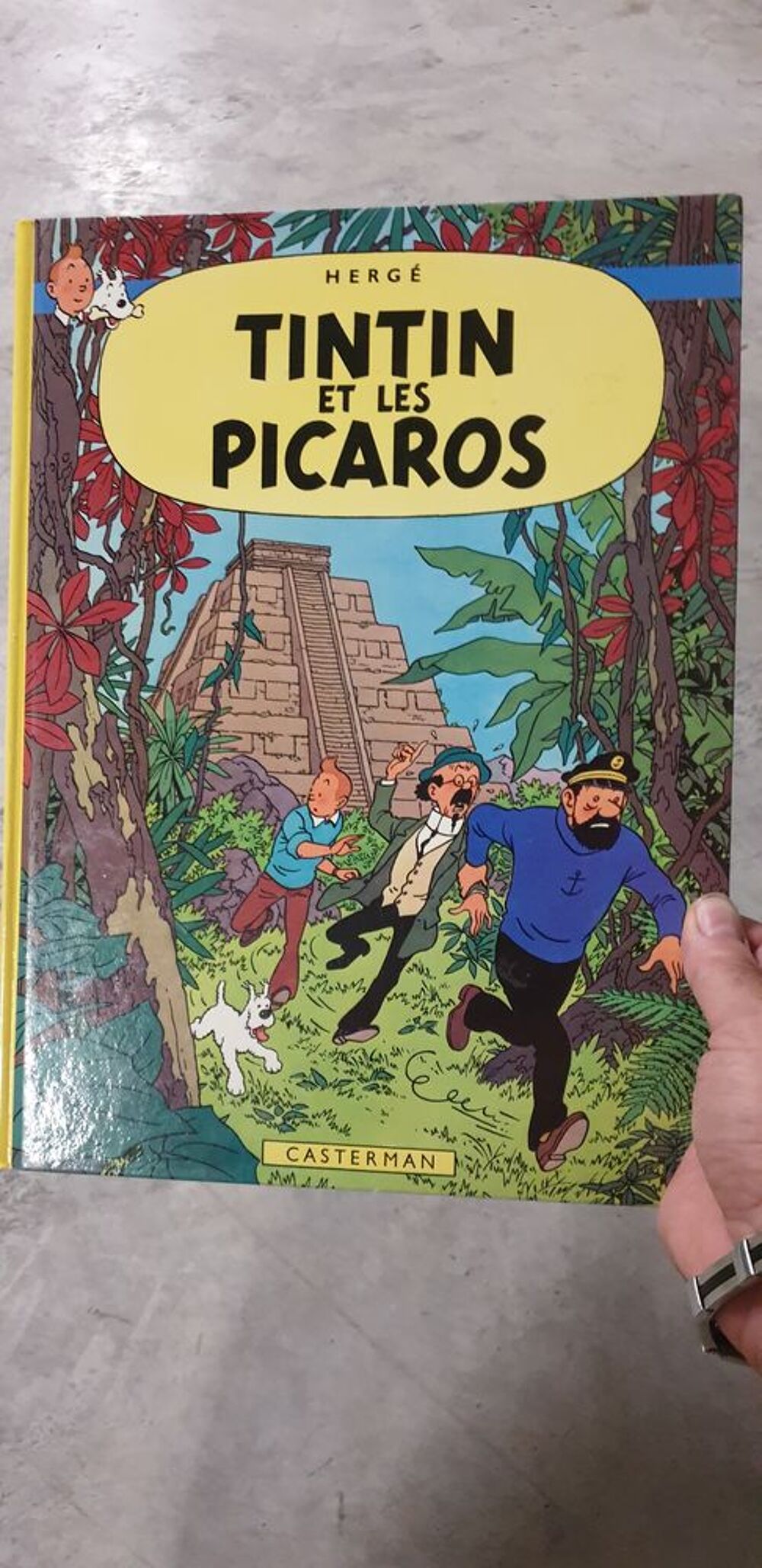 Tintin Livres et BD