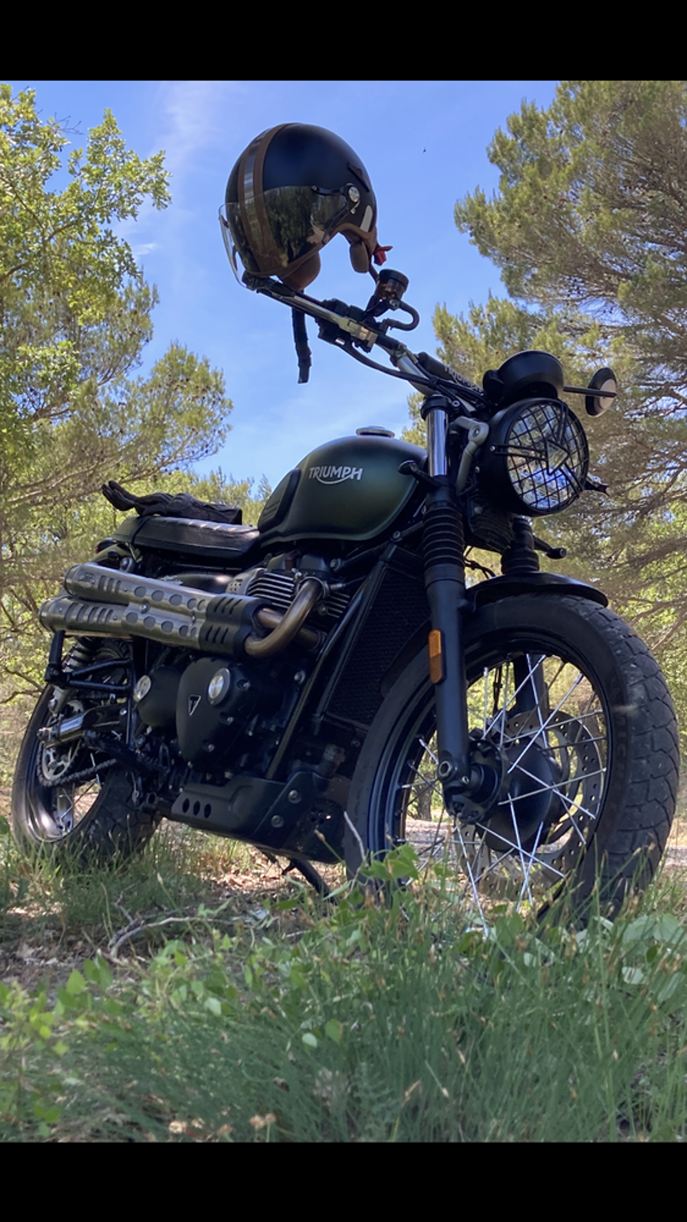 TRIUMPH 2018 occasion 84240 La Bastide-des-Jourdans