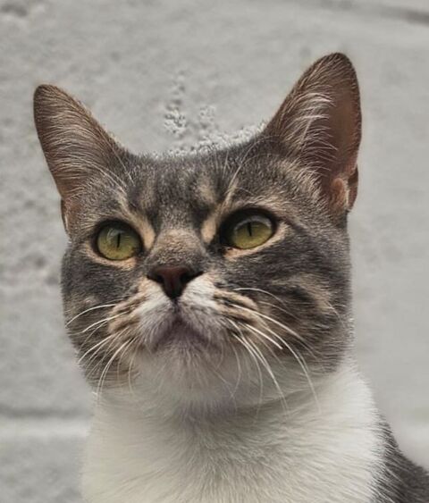 NUAGE 230 92150 Suresnes