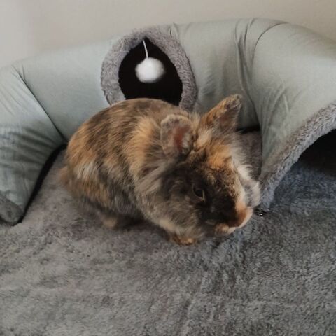 SUKO 130 42000 Saint-�tienne