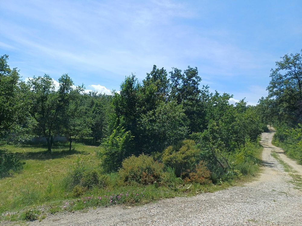 Vente Terrain terrain agricole avec hangar de 350 m2 Ortaffa