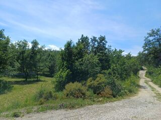  Terrain à vendre 56000 m² Ortaffa