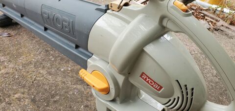 Souffleur Ryobi Sommières (30)