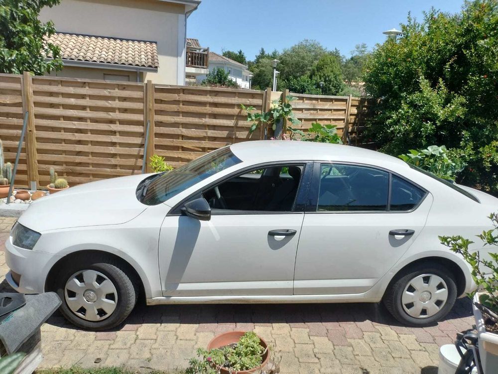 Octavia 1.6 TDI 110 ch CR FAP 4x4 Green Tec Edition 2016 occasion 33510 Andernos-les-Bains