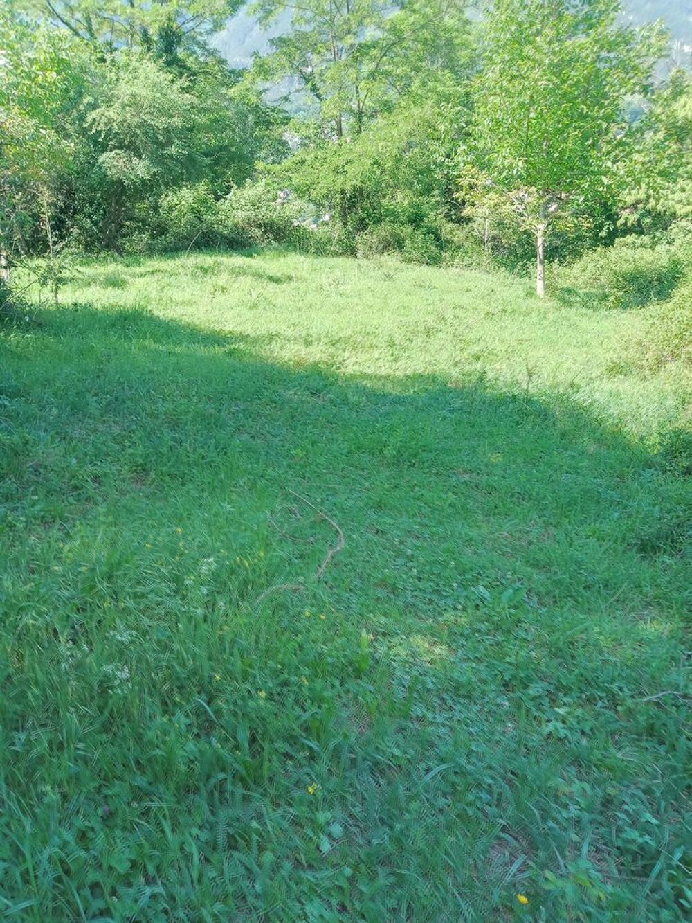 Vente Terrain Vallée VESUBIE TERRAIN loisirs 2800m2 en bordure de  route Belvédère